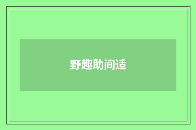 野趣助间适