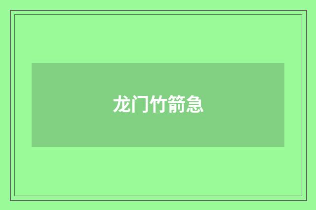 龙门竹箭急
