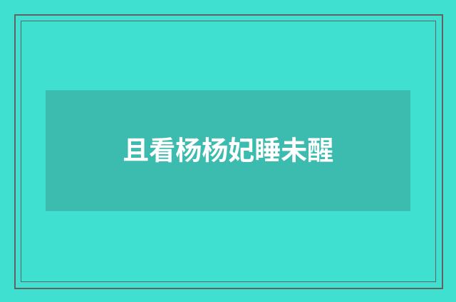 且看杨杨妃睡未醒