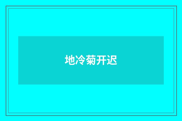 地冷菊开迟
