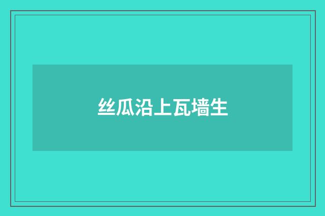 丝瓜沿上瓦墙生