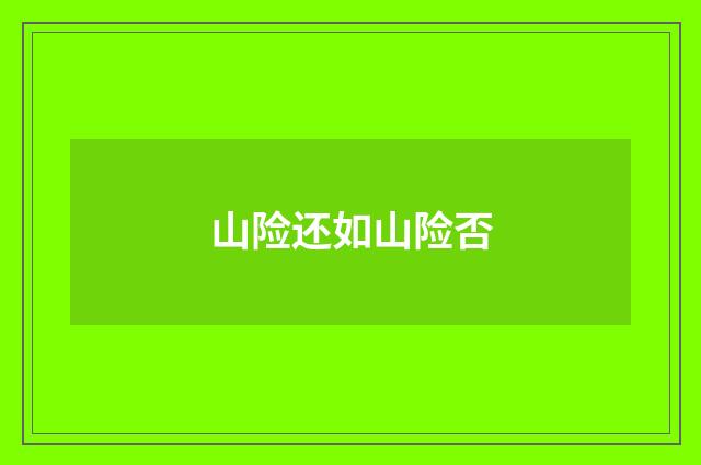 山险还如山险否