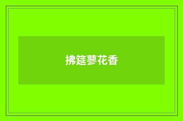 拂筵蓼花香