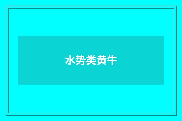 水势类黄牛