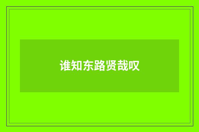 谁知东路贤哉叹