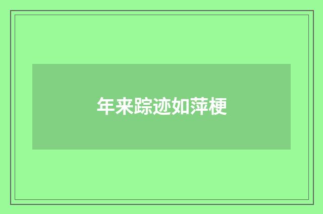 年来踪迹如萍梗
