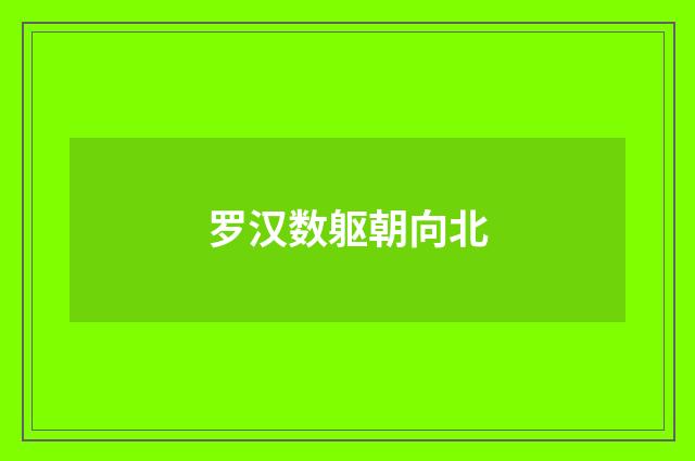 罗汉数躯朝向北