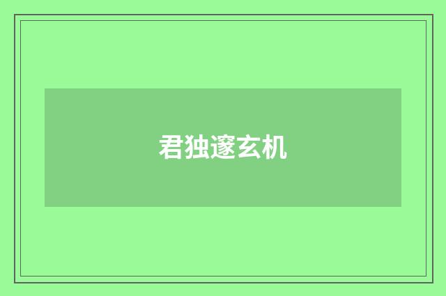 君独邃玄机