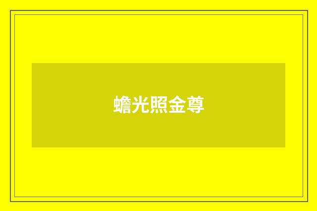 蟾光照金尊
