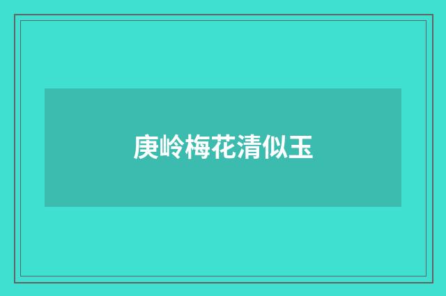 庚岭梅花清似玉