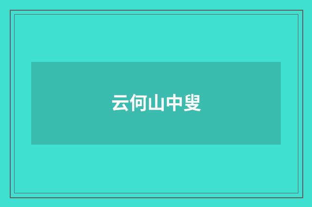 云何山中叟