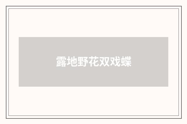 露地野花双戏蝶