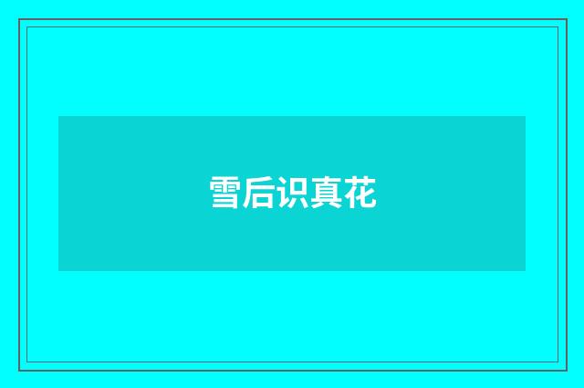雪后识真花