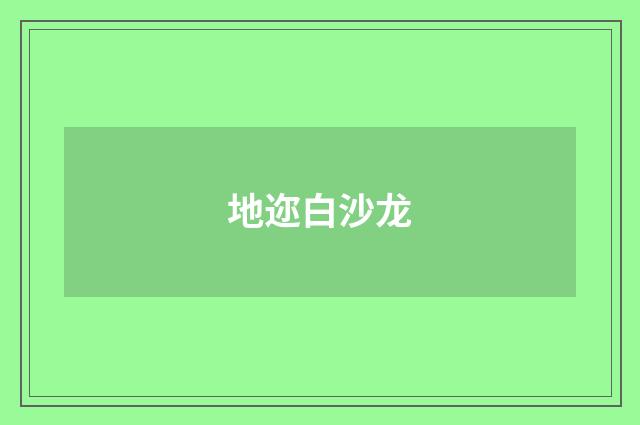 地迩白沙龙