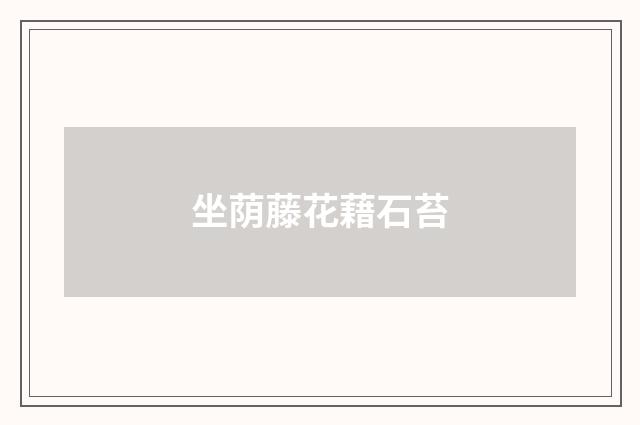 坐荫藤花藉石苔