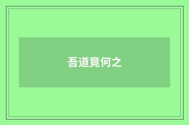 吾道竟何之