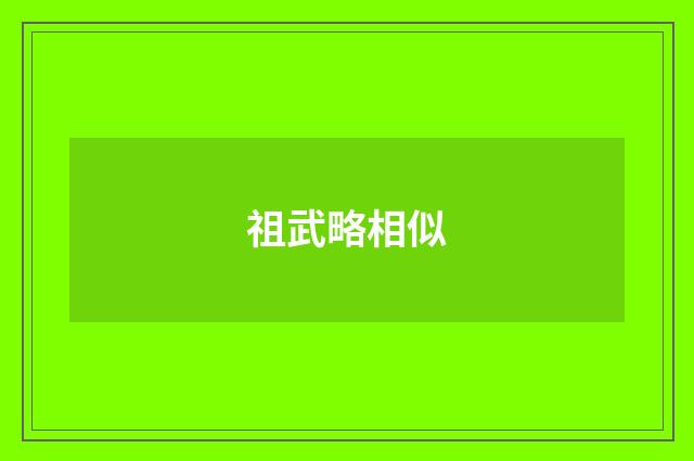 祖武略相似