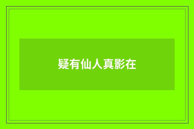 疑有仙人真影在