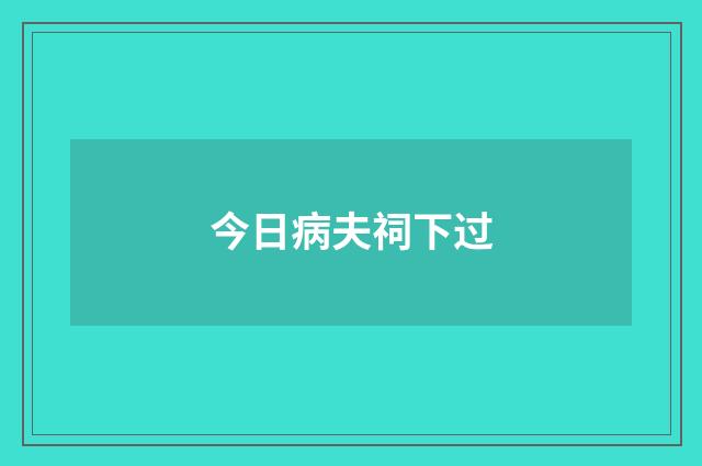今日病夫祠下过