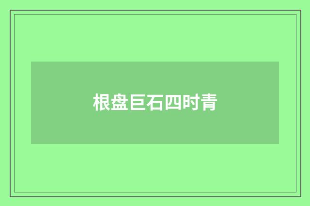 根盘巨石四时青