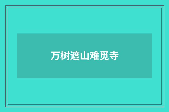万树遮山难觅寺