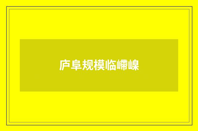 庐阜规模临嵽嵲