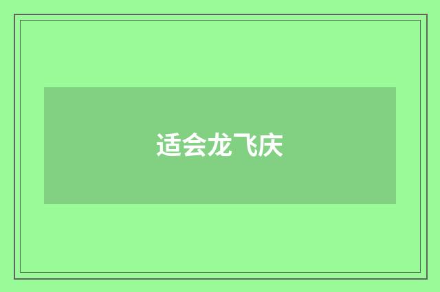 适会龙飞庆