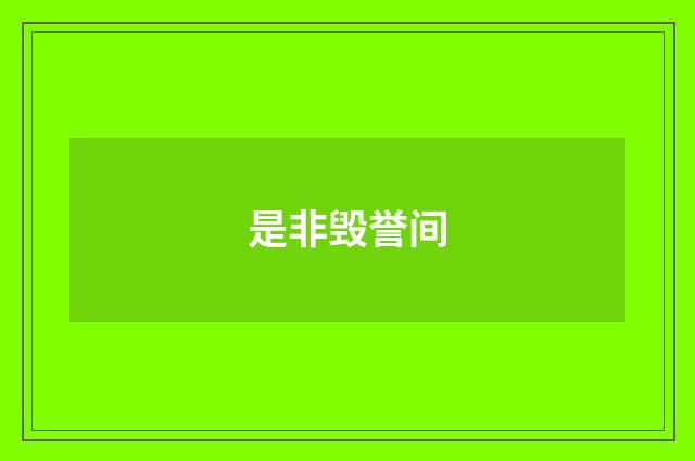 是非毁誉间