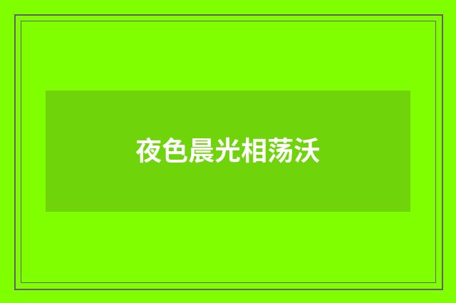 夜色晨光相荡沃