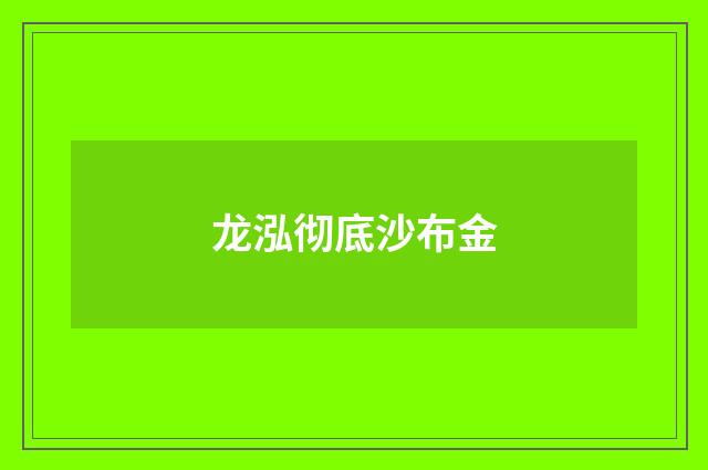 龙泓彻底沙布金