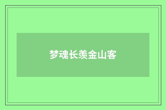 梦魂长羡金山客
