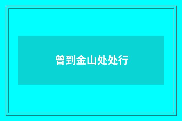 曾到金山处处行