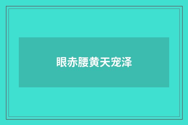 眼赤腰黄天宠泽