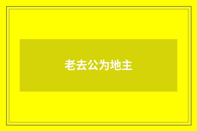 老去公为地主