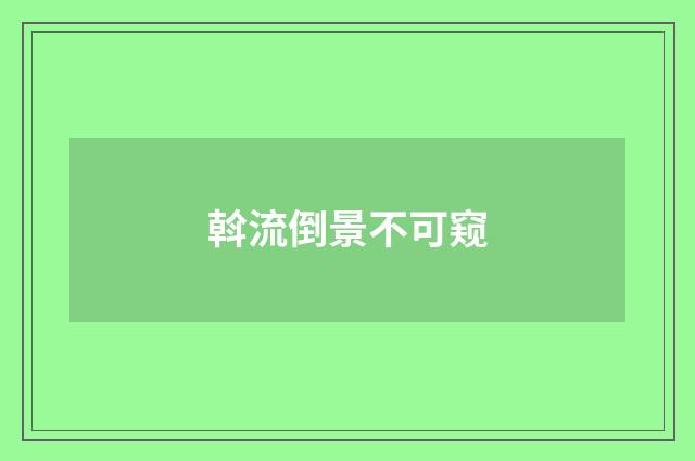 斡流倒景不可窥