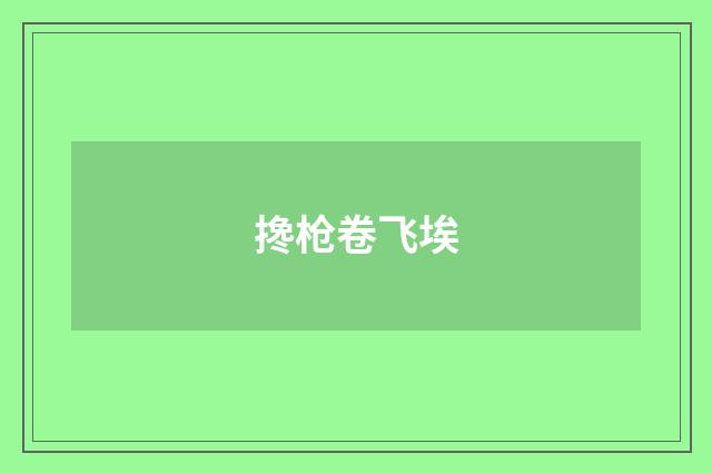 搀枪卷飞埃