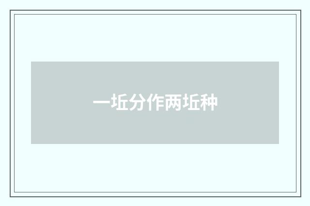 一坵分作两坵种