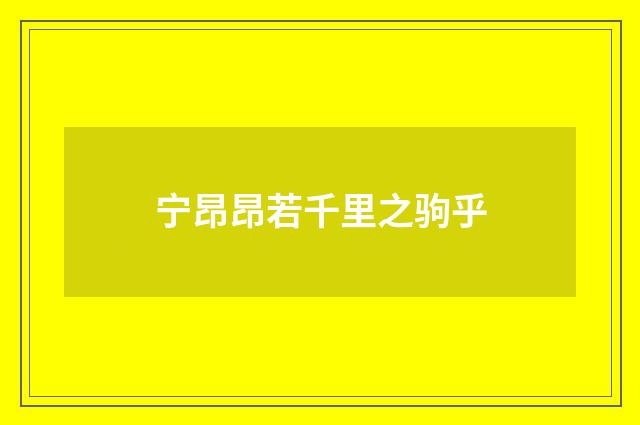 宁昂昂若千里之驹乎