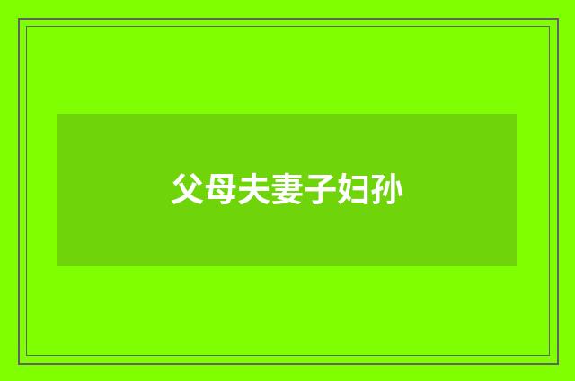 父母夫妻子妇孙