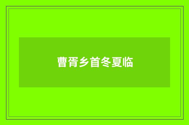 曹胥乡首冬夏临
