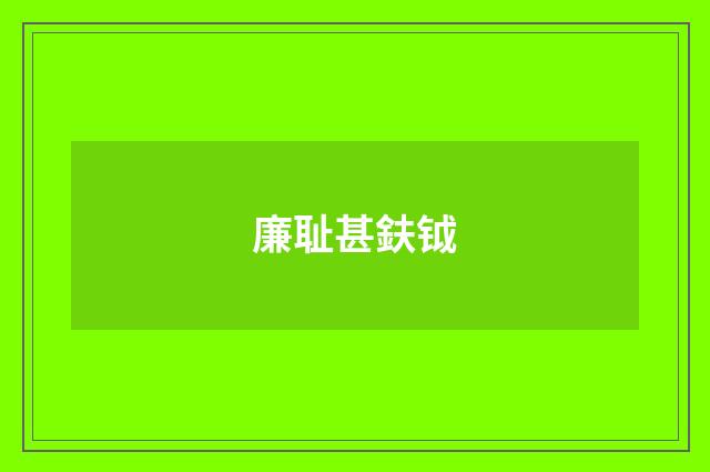 廉耻甚鈇钺