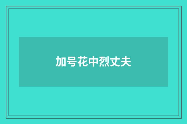 加号花中烈丈夫