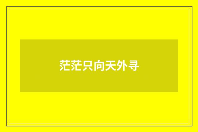 茫茫只向天外寻