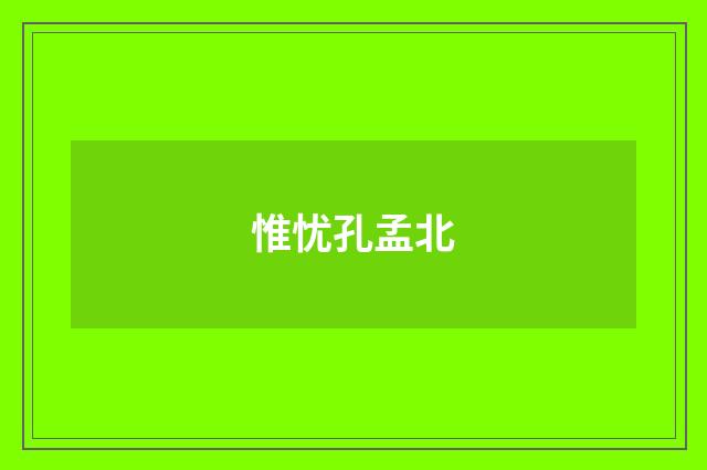 惟忧孔孟北