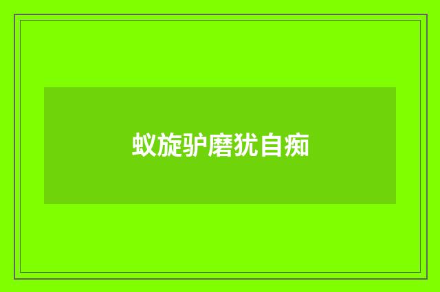 蚁旋驴磨犹自痴