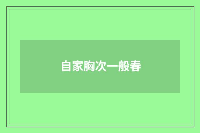 自家胸次一般春