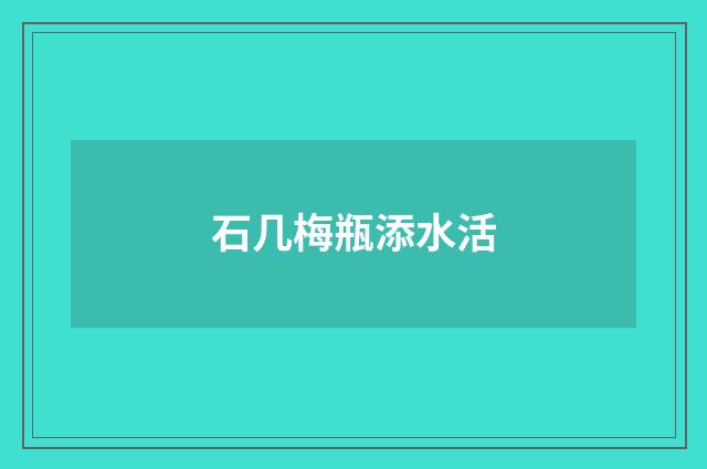 石几梅瓶添水活
