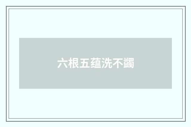 六根五蕴洗不蠲