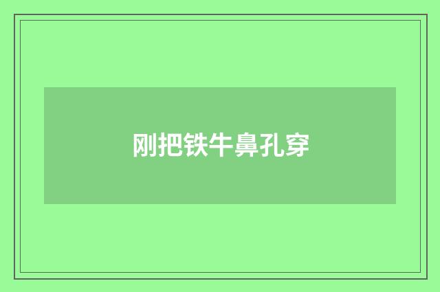 刚把铁牛鼻孔穿