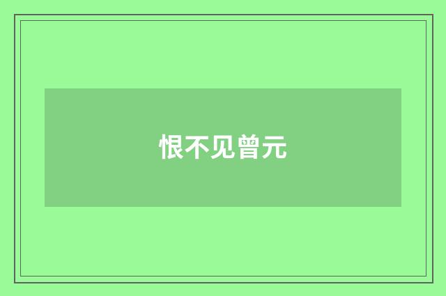 恨不见曾元